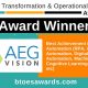 Nividous Customer AEG Vision Wins the Best Achievement in Process Automation BTOES 2021